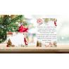 pack liste + reponse pere noel