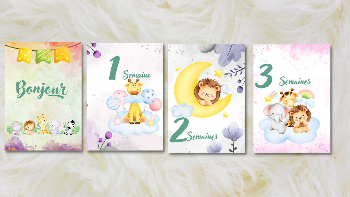 Cartes étapes Bebe- Animaux