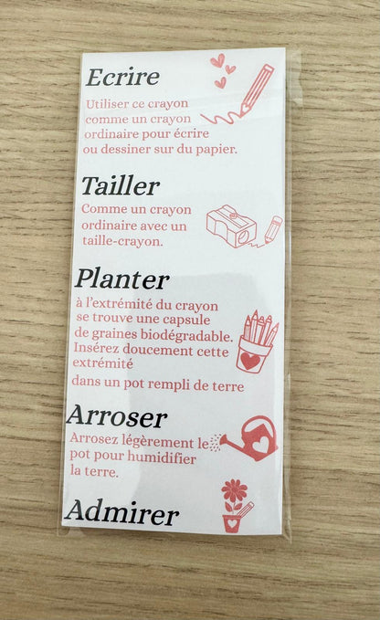 ✏️ Crayon à planter gravé – Merci de faire fleurir nos esprits 🌱