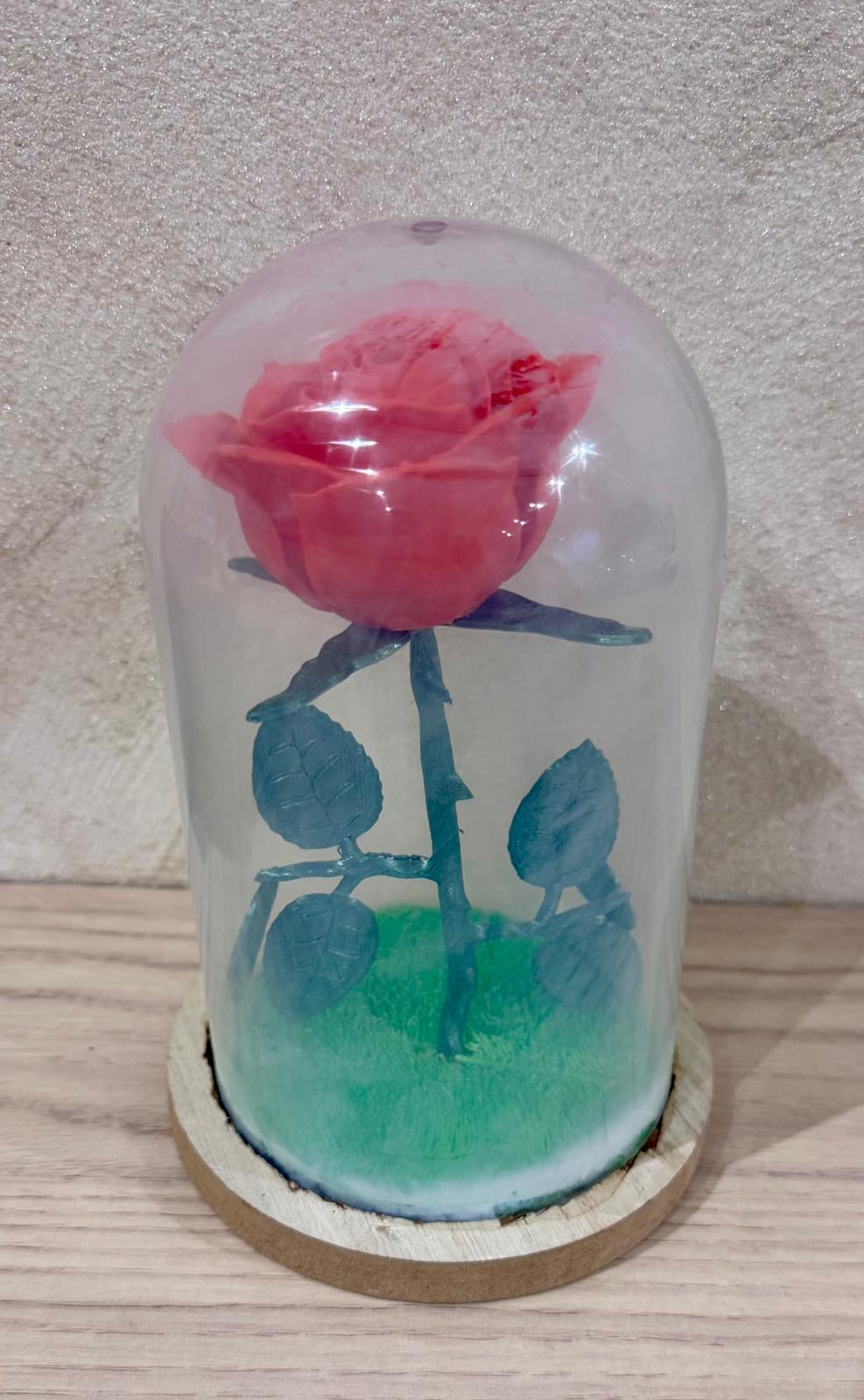 ROSE ÉTERNELLE SOUS CLOCHE