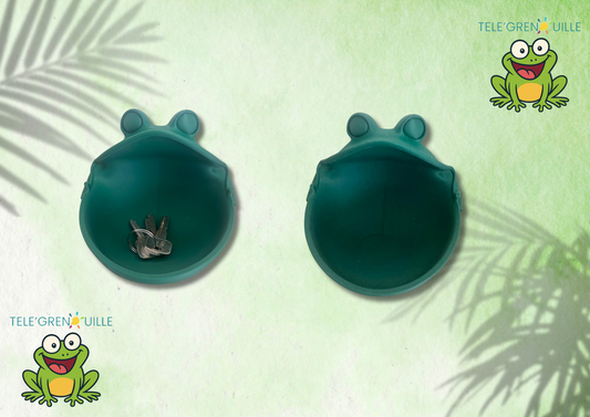 🐸 Vide-Poche Grenouille 3D