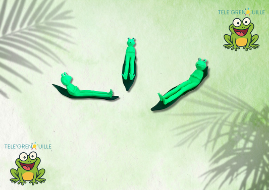 Porte-Encens Grenouille 3D