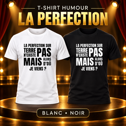 T-shirt humour – La perfection sur Terre